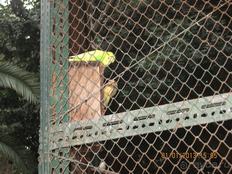 Новый год в Афинах – да или нет?