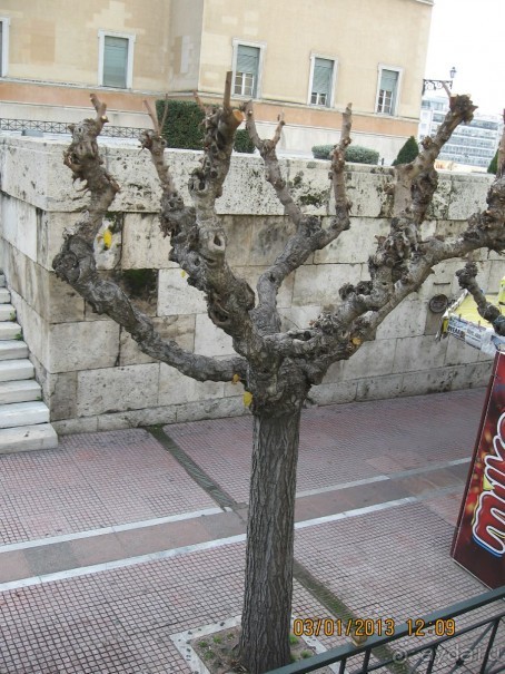 Новый год в Афинах – да или нет?