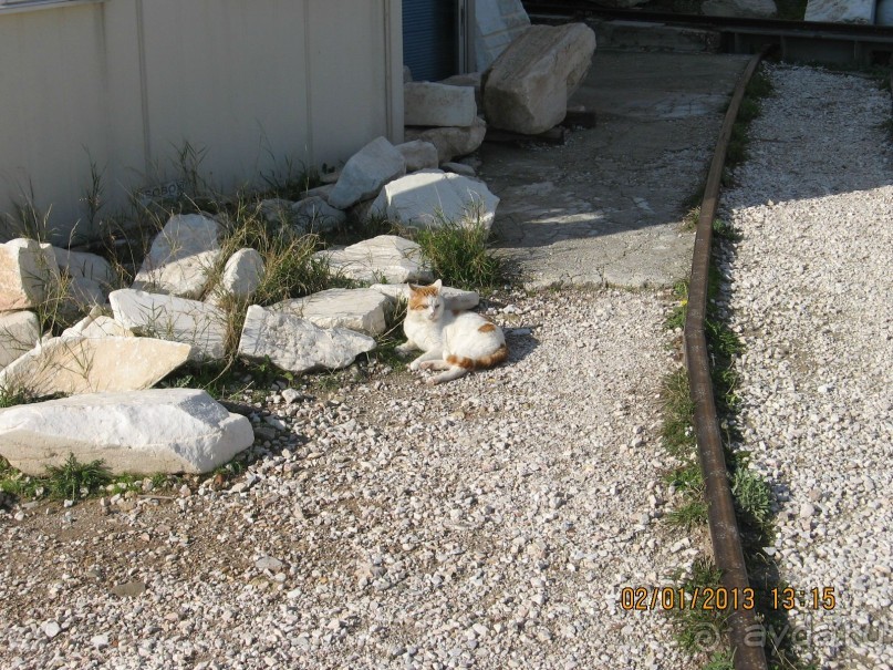 Новый год в Афинах – да или нет?