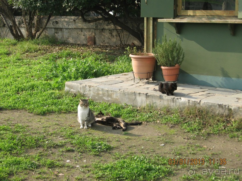 Новый год в Афинах – да или нет?