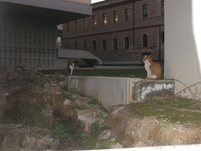 Новый год в Афинах – да или нет?