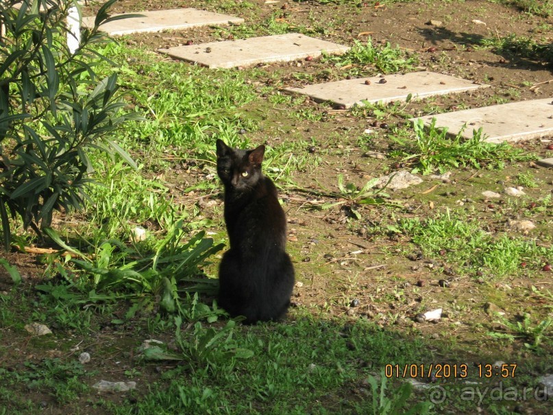 Новый год в Афинах – да или нет?