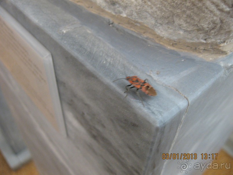 Новый год в Афинах – да или нет?