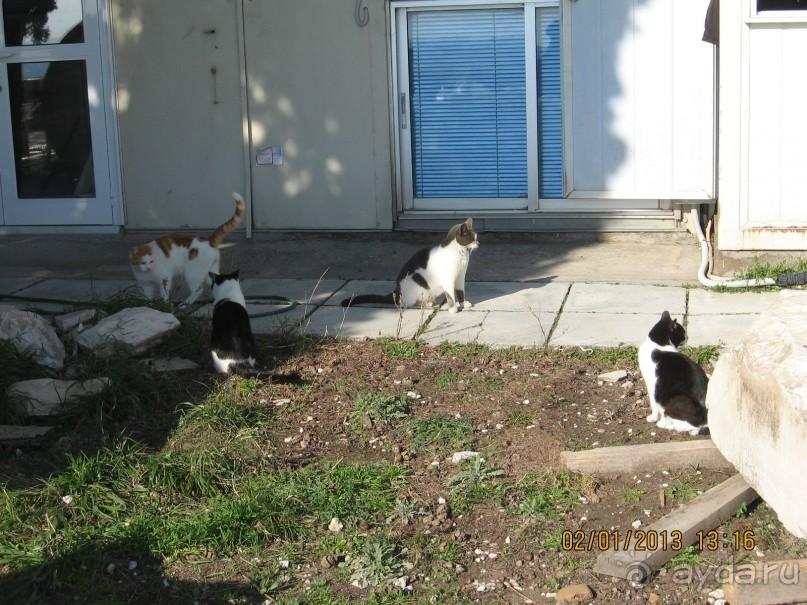 Новый год в Афинах – да или нет?