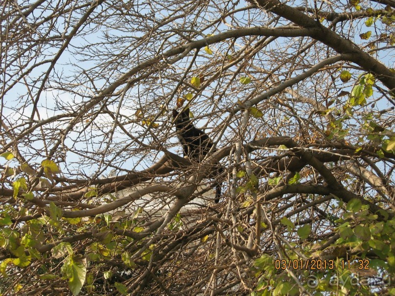 Новый год в Афинах – да или нет?