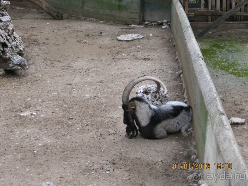 Новый год в Афинах – да или нет?