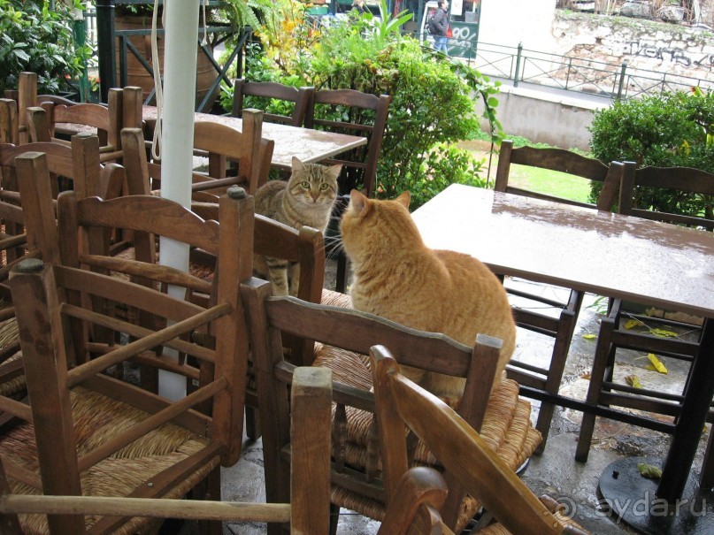 Новый год в Афинах – да или нет?