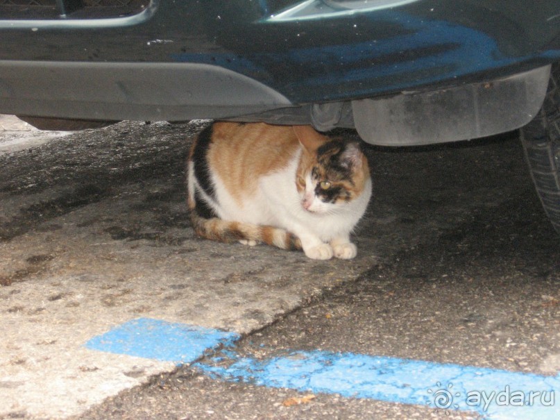 Новый год в Афинах – да или нет?