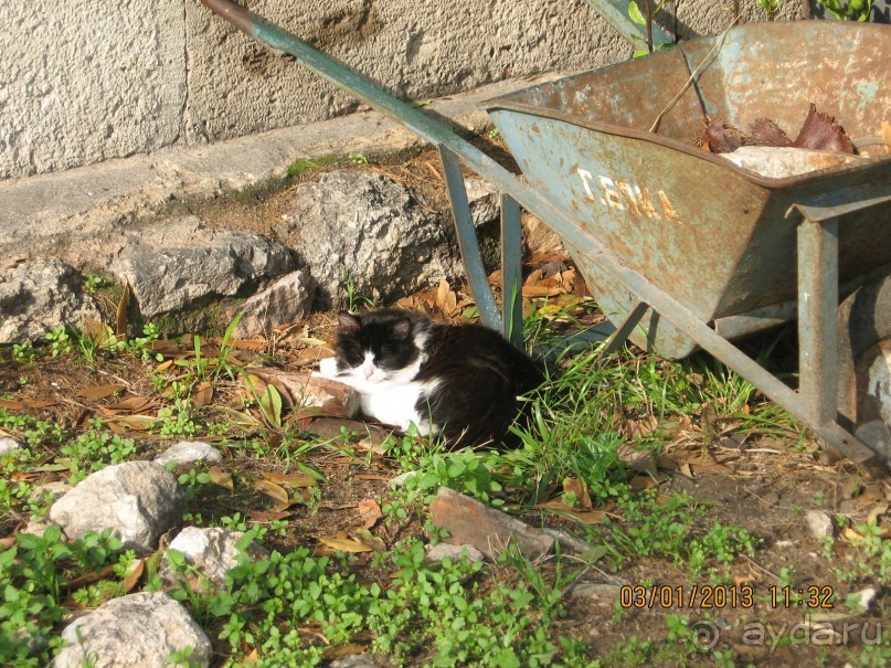 Новый год в Афинах – да или нет?