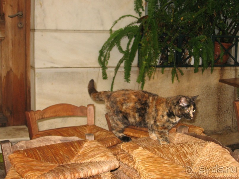 Новый год в Афинах – да или нет?