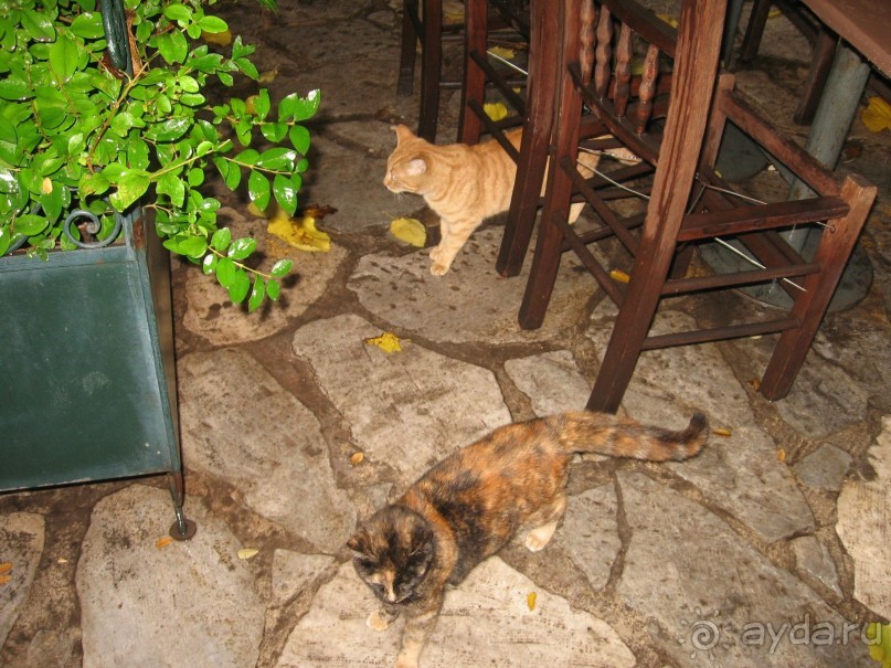 Новый год в Афинах – да или нет?