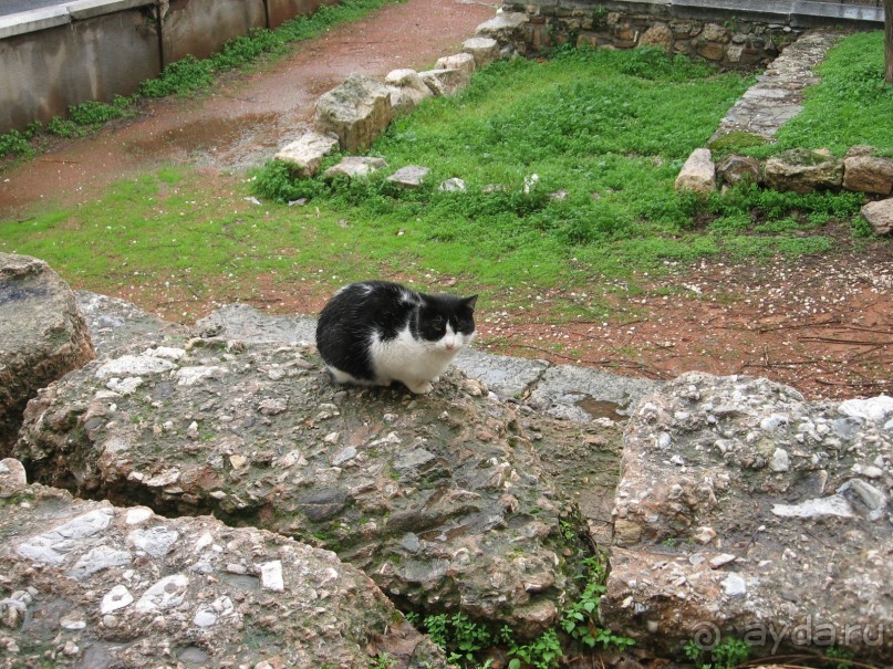 Новый год в Афинах – да или нет?