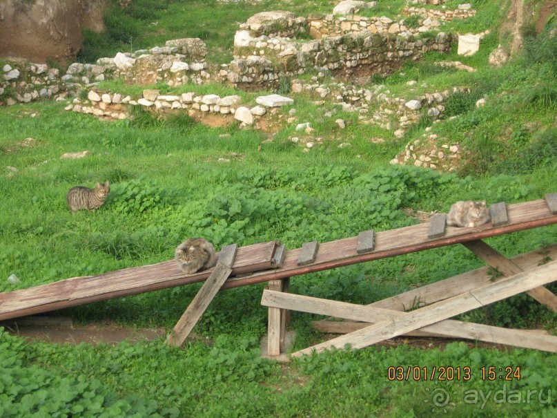 Новый год в Афинах – да или нет?