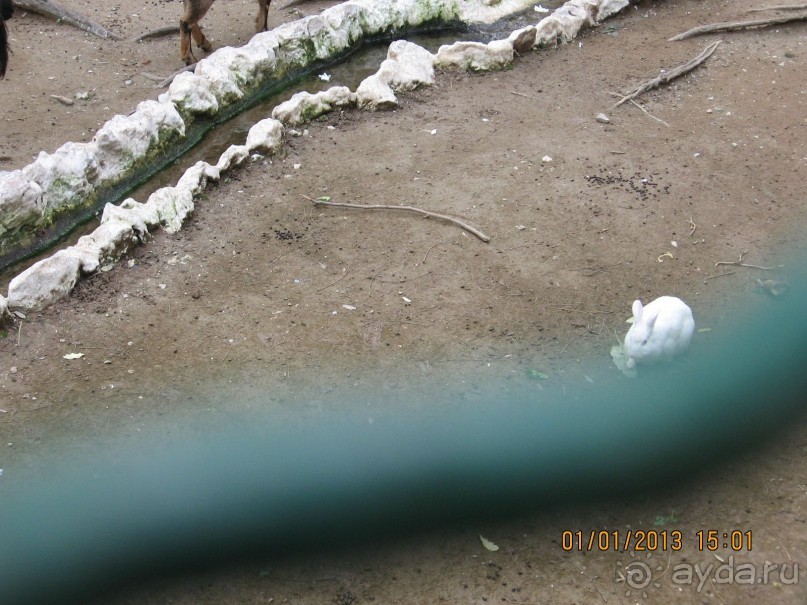 Новый год в Афинах – да или нет?