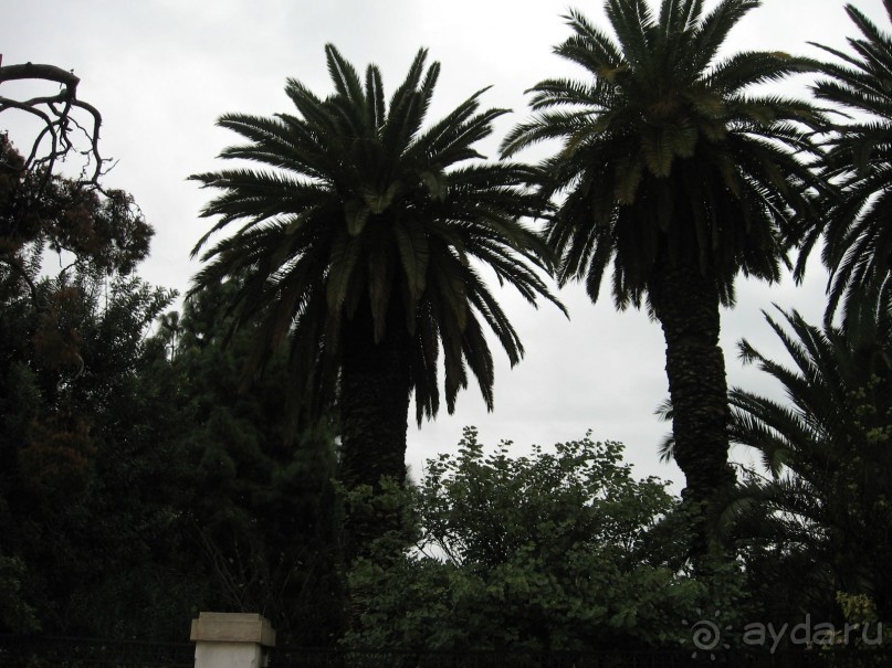 Новый год в Афинах – да или нет?