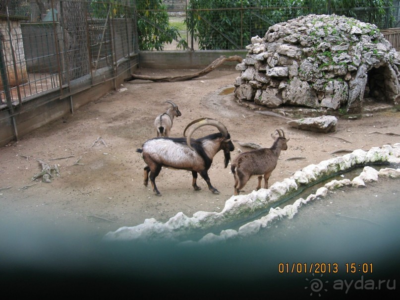 Новый год в Афинах – да или нет?