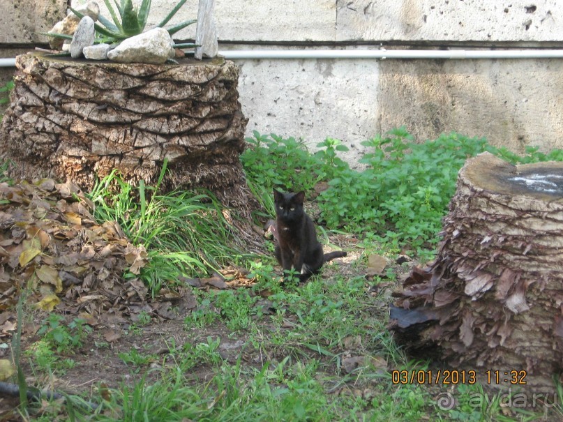 Новый год в Афинах – да или нет?