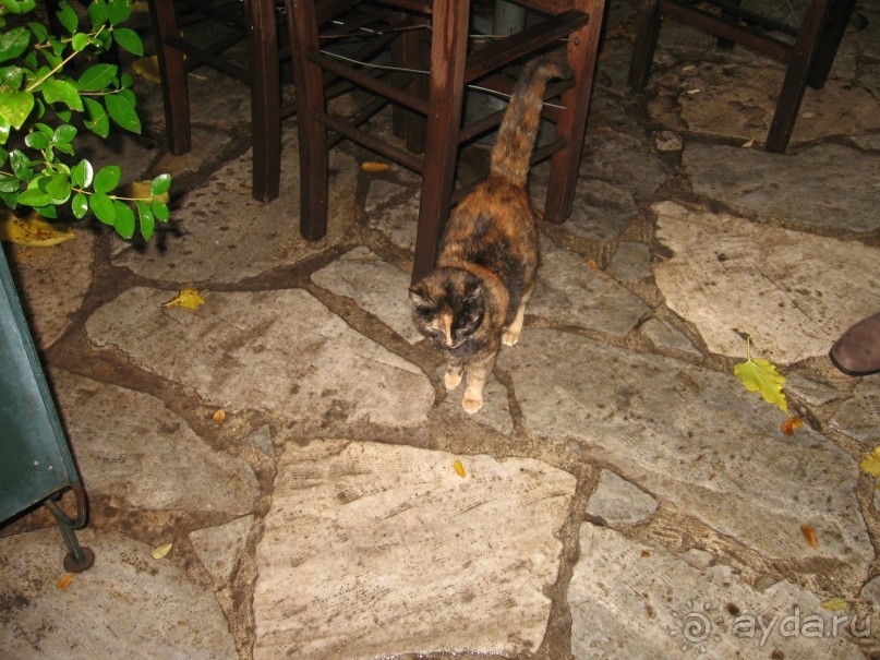 Новый год в Афинах – да или нет?