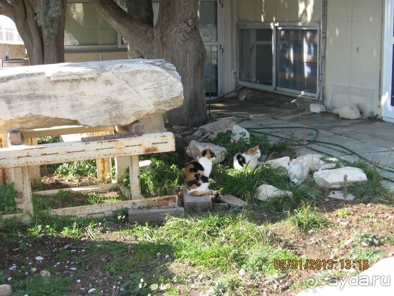 Новый год в Афинах – да или нет?