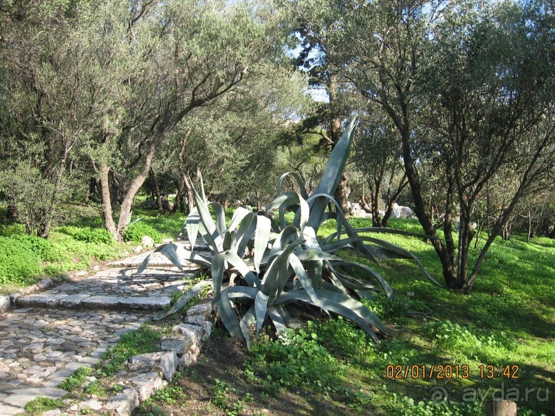 Новый год в Афинах – да или нет?