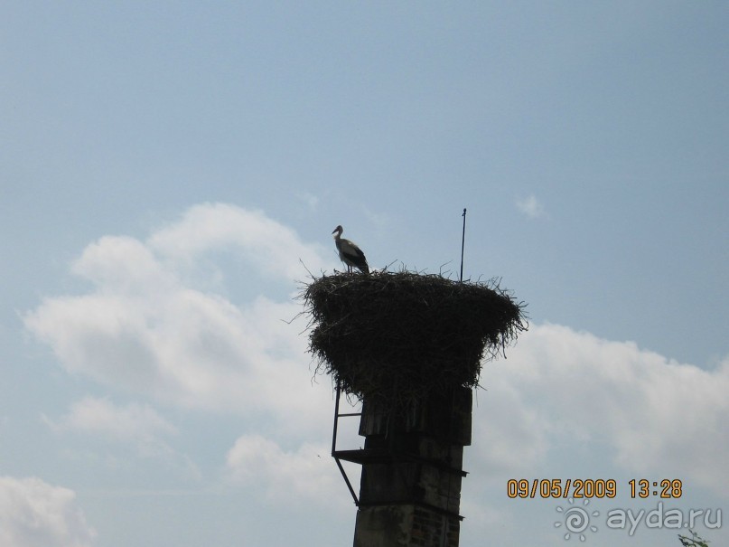 Поездка в Чехию с экскурсиями в Австрию и Германию