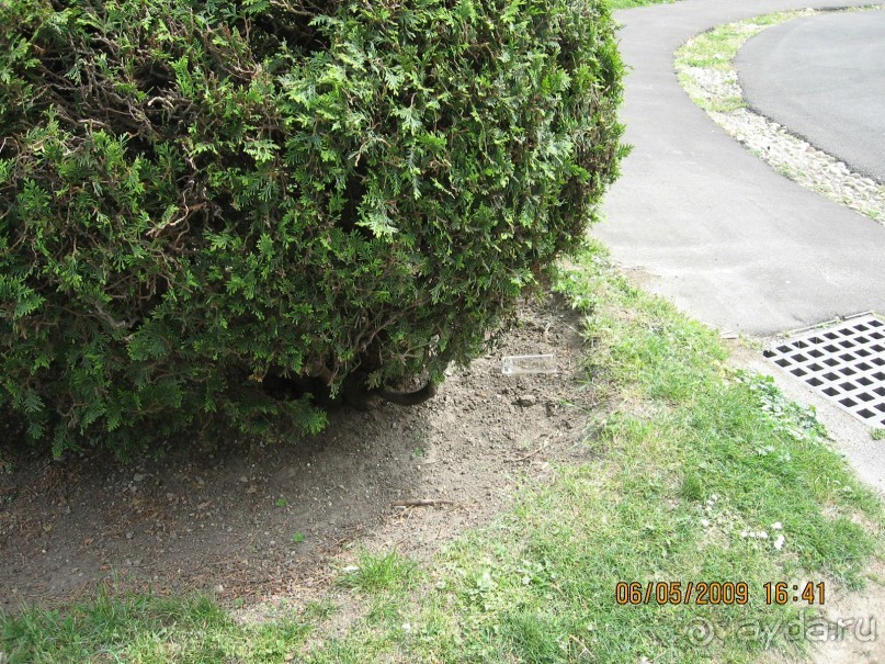 Поездка в Чехию с экскурсиями в Австрию и Германию