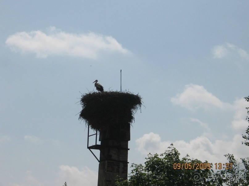 Поездка в Чехию с экскурсиями в Австрию и Германию