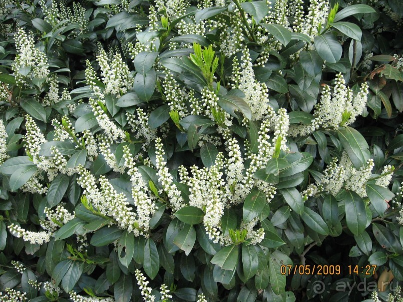 Поездка в Чехию с экскурсиями в Австрию и Германию