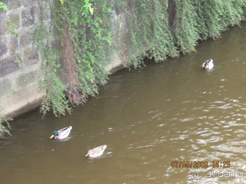 Поездка в Чехию с экскурсиями в Австрию и Германию