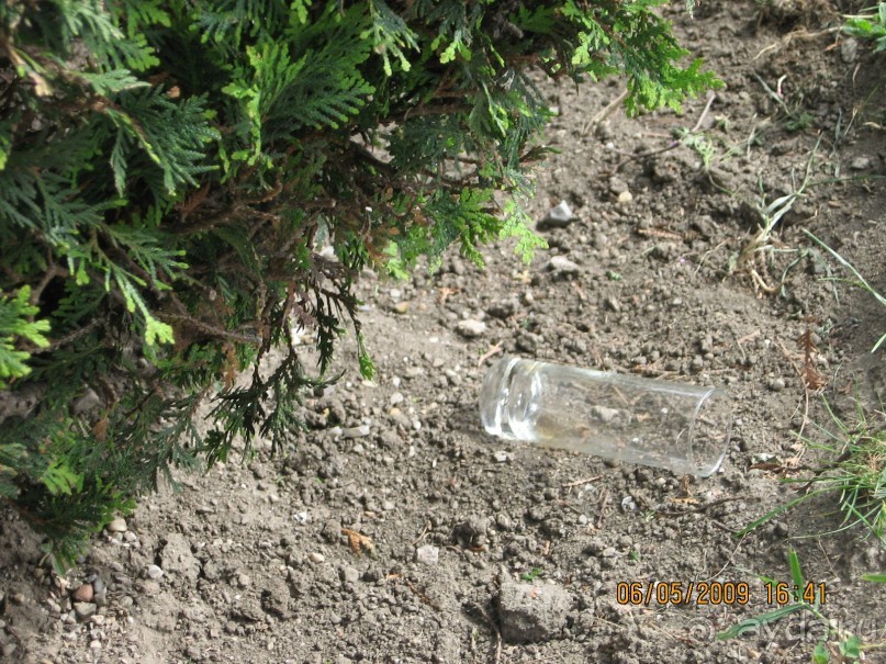 Поездка в Чехию с экскурсиями в Австрию и Германию