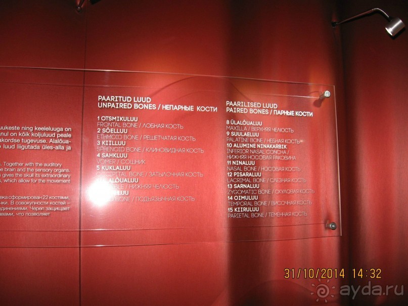 Альбом отзыва "НОВАЯ ПОЕЗДКА В ТАЛЛИН, НА ЭТОТ РАЗ УВЛЕКАТЕЛЬНАЯ"