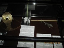 Альбом отзыва "НОВАЯ ПОЕЗДКА В ТАЛЛИН, НА ЭТОТ РАЗ УВЛЕКАТЕЛЬНАЯ"