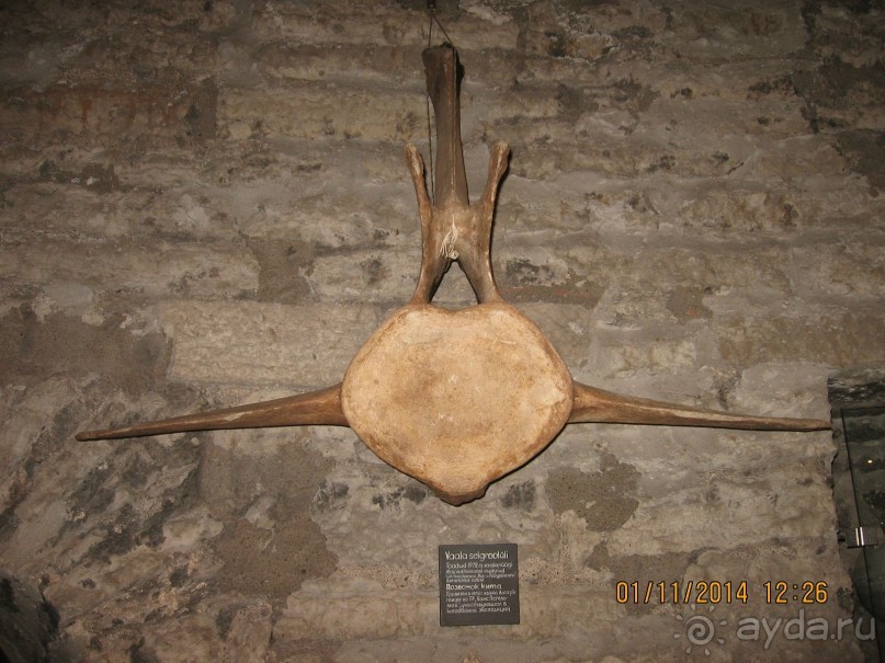 Альбом отзыва "НОВАЯ ПОЕЗДКА В ТАЛЛИН, НА ЭТОТ РАЗ УВЛЕКАТЕЛЬНАЯ"