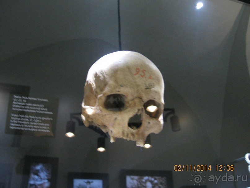 НОВАЯ ПОЕЗДКА В ТАЛЛИН, НА ЭТОТ РАЗ УВЛЕКАТЕЛЬНАЯ