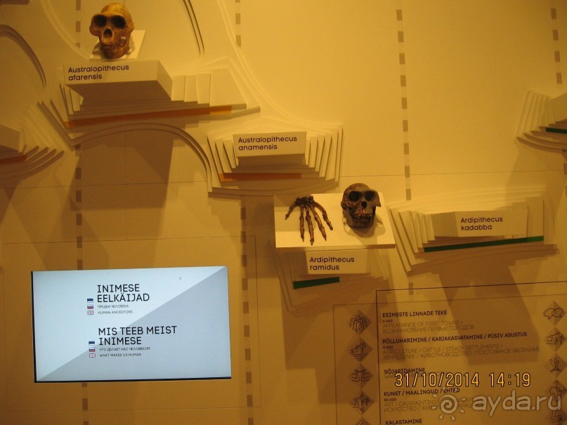 НОВАЯ ПОЕЗДКА В ТАЛЛИН, НА ЭТОТ РАЗ УВЛЕКАТЕЛЬНАЯ