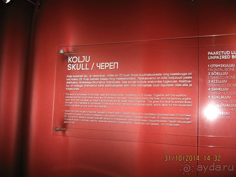 НОВАЯ ПОЕЗДКА В ТАЛЛИН, НА ЭТОТ РАЗ УВЛЕКАТЕЛЬНАЯ