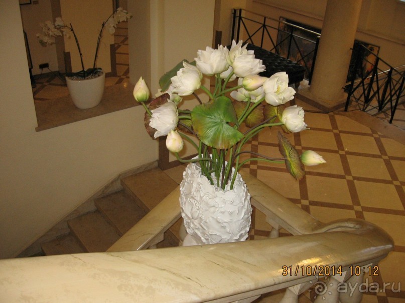 НОВАЯ ПОЕЗДКА В ТАЛЛИН, НА ЭТОТ РАЗ УВЛЕКАТЕЛЬНАЯ