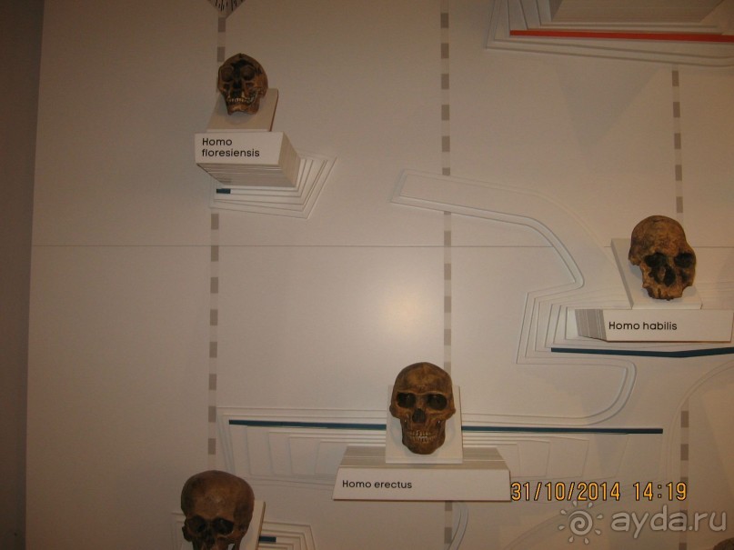 НОВАЯ ПОЕЗДКА В ТАЛЛИН, НА ЭТОТ РАЗ УВЛЕКАТЕЛЬНАЯ