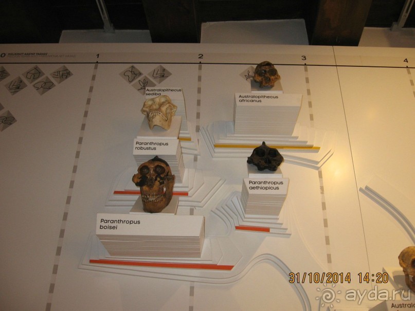 НОВАЯ ПОЕЗДКА В ТАЛЛИН, НА ЭТОТ РАЗ УВЛЕКАТЕЛЬНАЯ