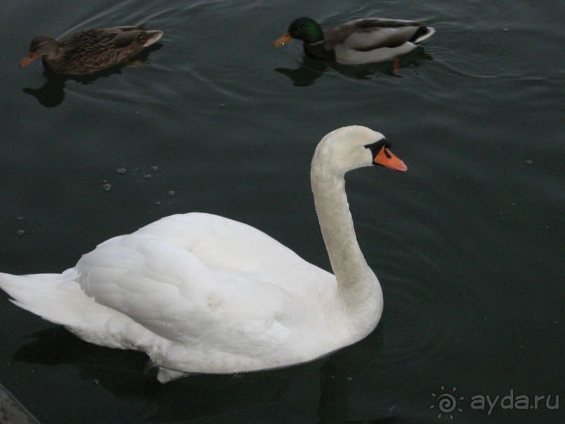 Москва - Питер - Хельсинки - Стокгольм и обратно