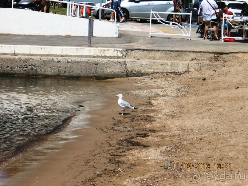 ИСПАНИЯ И НЕ ТОЛЬКО – ОТ ТАРРАГОНЫ ДО САН-РЕМО. САМОСТОЯТЕЛЬНО