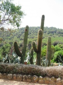 ИСПАНИЯ И НЕ ТОЛЬКО – ОТ ТАРРАГОНЫ ДО САН-РЕМО. САМОСТОЯТЕЛЬНО