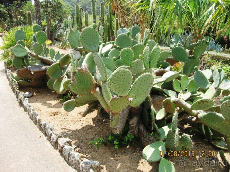 ИСПАНИЯ И НЕ ТОЛЬКО – ОТ ТАРРАГОНЫ ДО САН-РЕМО. САМОСТОЯТЕЛЬНО