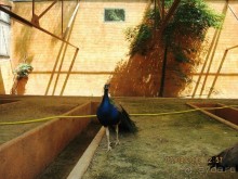 ИСПАНИЯ И НЕ ТОЛЬКО – ОТ ТАРРАГОНЫ ДО САН-РЕМО. САМОСТОЯТЕЛЬНО