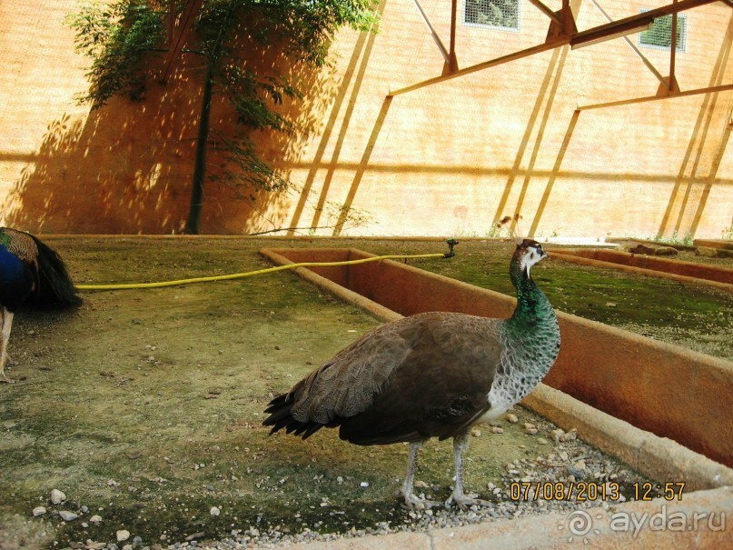 ИСПАНИЯ И НЕ ТОЛЬКО – ОТ ТАРРАГОНЫ ДО САН-РЕМО. САМОСТОЯТЕЛЬНО