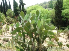 ИСПАНИЯ И НЕ ТОЛЬКО – ОТ ТАРРАГОНЫ ДО САН-РЕМО. САМОСТОЯТЕЛЬНО