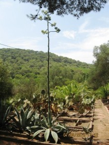 ИСПАНИЯ И НЕ ТОЛЬКО – ОТ ТАРРАГОНЫ ДО САН-РЕМО. САМОСТОЯТЕЛЬНО