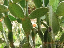 ИСПАНИЯ И НЕ ТОЛЬКО – ОТ ТАРРАГОНЫ ДО САН-РЕМО. САМОСТОЯТЕЛЬНО