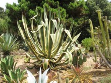 ИСПАНИЯ И НЕ ТОЛЬКО – ОТ ТАРРАГОНЫ ДО САН-РЕМО. САМОСТОЯТЕЛЬНО