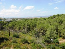 ИСПАНИЯ И НЕ ТОЛЬКО – ОТ ТАРРАГОНЫ ДО САН-РЕМО. САМОСТОЯТЕЛЬНО